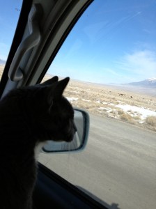 Waiting for his driving shift