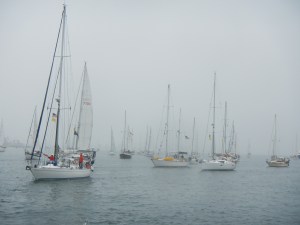 Start of the 2013 Baja Haha rally