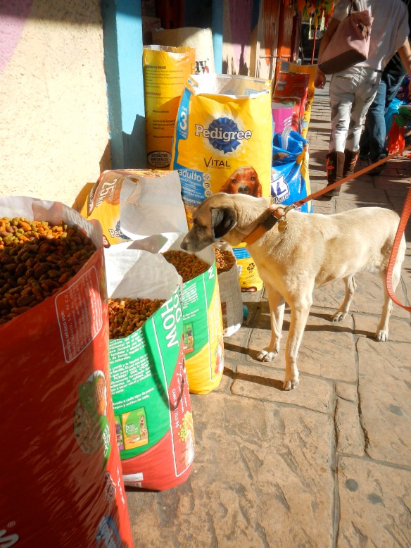 Lucy's dream come true. Dog food sold by the scoop. La Paz, Mexico