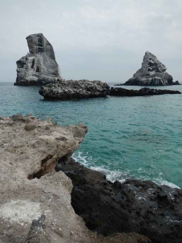 Las Monas, Isla Isabel