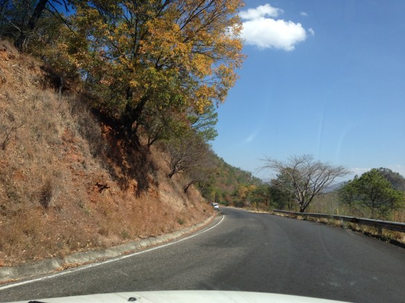 Road to Oaxaca