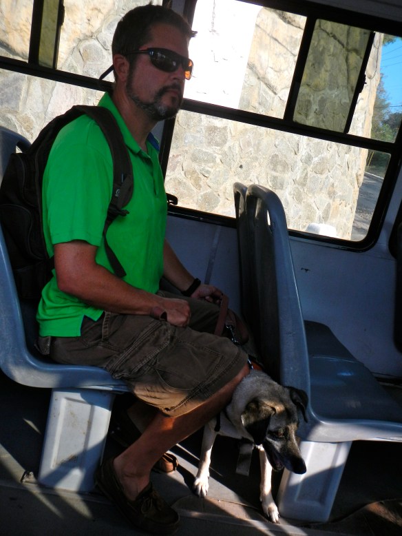 Another one rides the bus