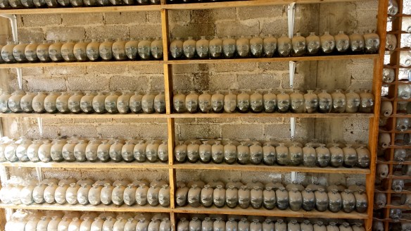 Mezcal bottles waiting to be filled