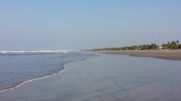 Giant beach all to ourselves 