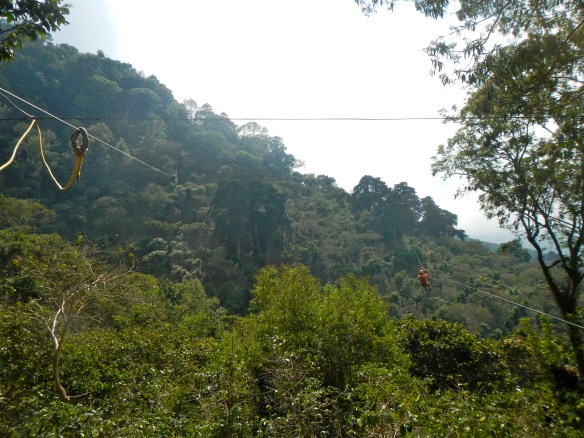 Zip lining through the jungle