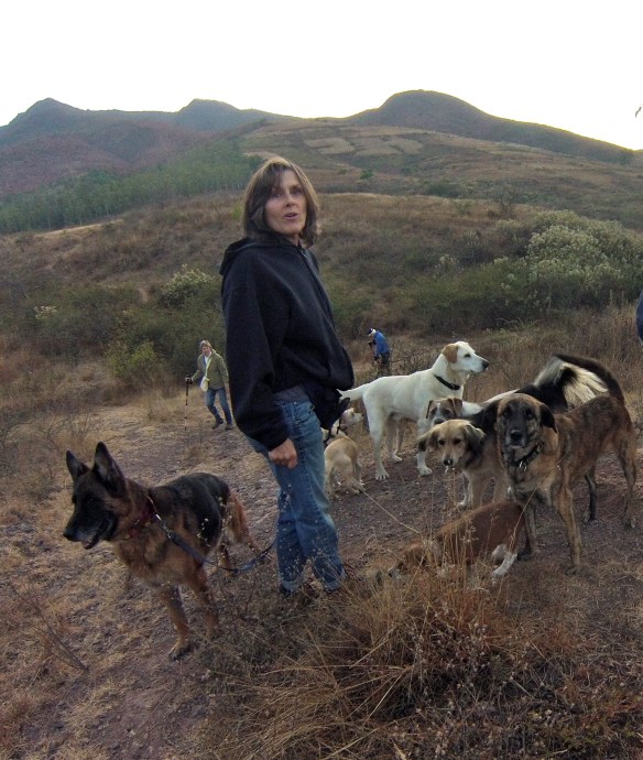 Rebecca with her rescues