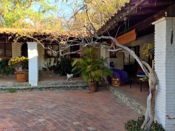 Casa Raab courtyard
