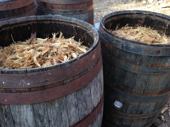 Crushed and roasted maguey awaiting distillation