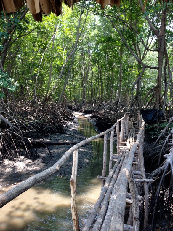 Don't forget the toilet paper