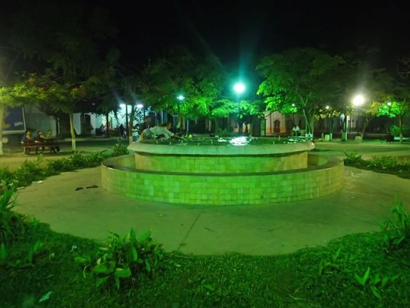 I jumped in a fountain to save a dog!