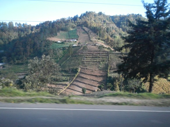 Guatemalan countryside