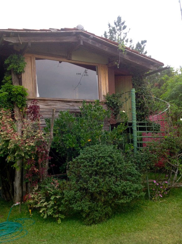 Funky tree house room we stayed in during trip to Juaya