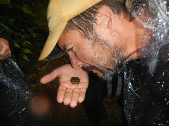 This Millipede smelled like almonds.  And no he didn't smack Pete in the face.