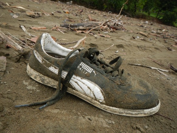 The Costa Rican Puma