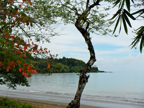 Drake's Bay, Costa Rica