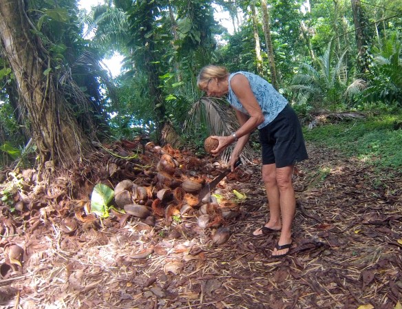 Trudy, coconut opening expert
