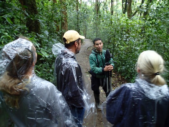 Javier leading us through the Cloud Forest.  And yes we are styling in those rain jackets