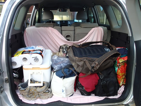 Of course we didn't forget Lucy.