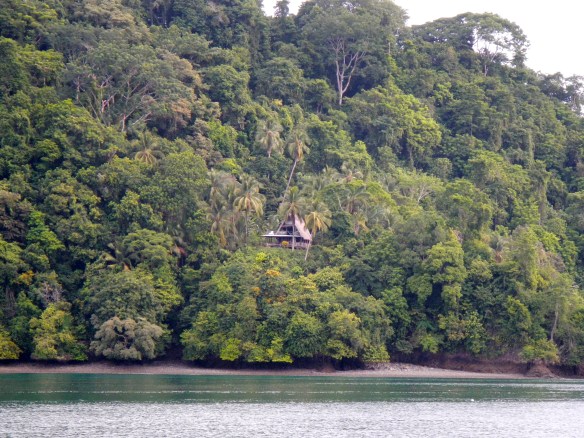 First impression coming into the Golfo Dulce...looks promising