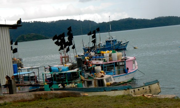 Fishermen use these black flags to mark long lines and nets.   The worst color ever to see against a dark sea.  How about a nice neon orange?