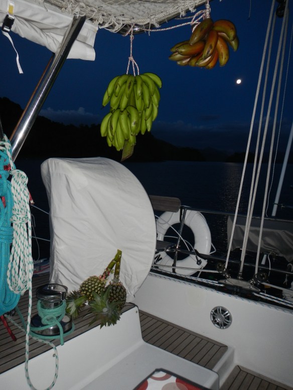 Red bananas, yellow bananas and pineapples from Domingo.  Problem with this many bananas is they all ripen at the same time.  So even freezing some for smoothies, left us with A LOT of bananas