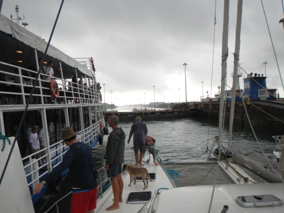 Pull up to ferry boat in the Gatun Locks