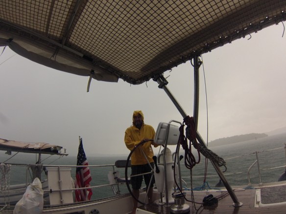 Neko wasn't the only one who got a fresh water rinse.