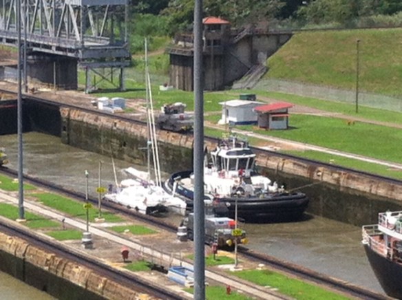 You can see the tight fight between Neko and our pal Penquin the tug.