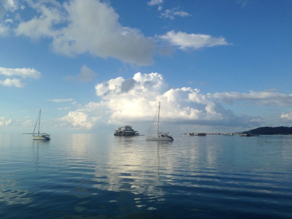 20150117_075407_IMG_7656