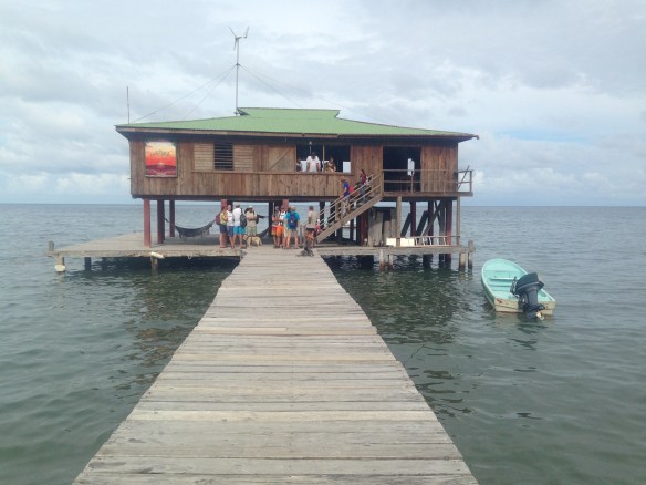 Nice lunch at Green Flash after our hike