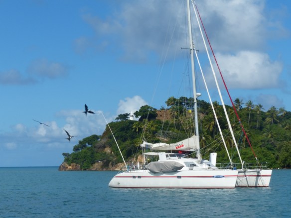 Neko anchored in Providencia