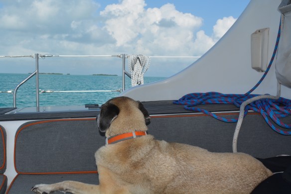 Who said you can't go home again?  Looking longingly at the homeland