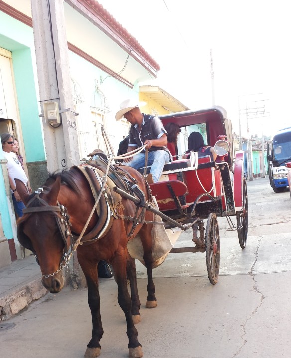 Man on horse and cart