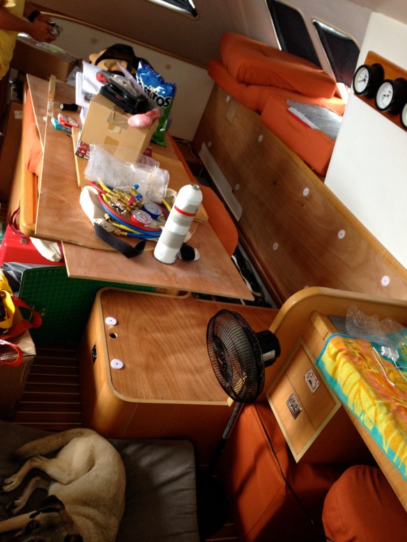 salon, where's a dog to sleep around here?