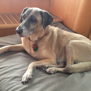 Guess who loves the AC the most?