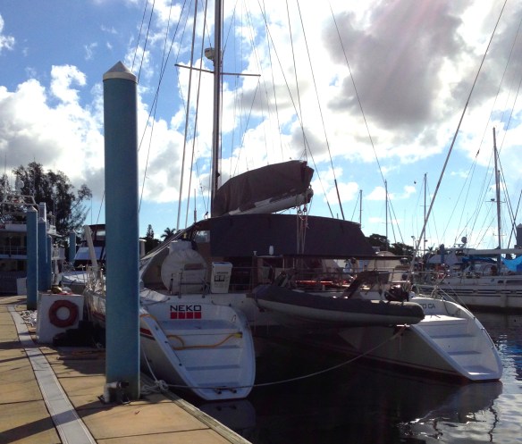 Who needs 50 shades when our new 1 shade does the trick.  You can see the new dinghy chaps, bimini and sail bag