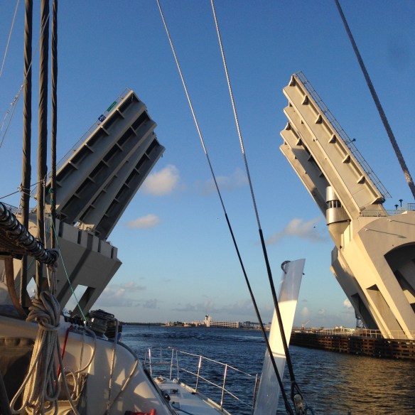 See ya later alligator