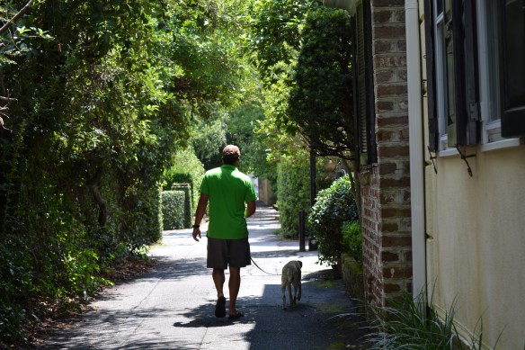 Some of the best houses were down these alley streets