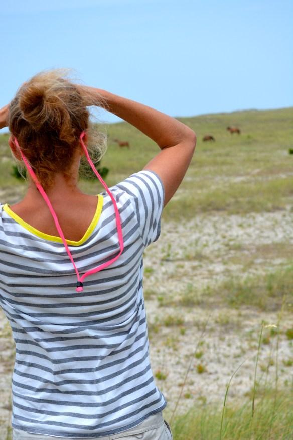 Mary spotting the horses