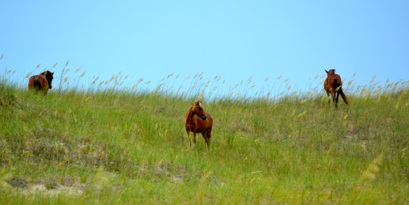 they don't seem to mind if you don't get too close