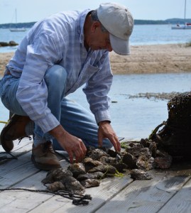 Frank checking the fruits of his labor.