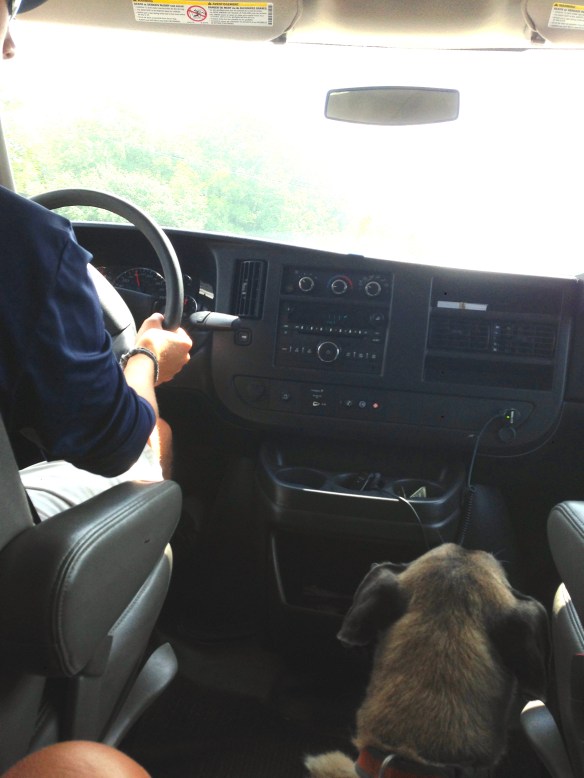 Lucy riding into town.