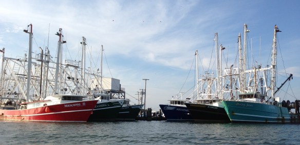Fishing Boats Cape May
