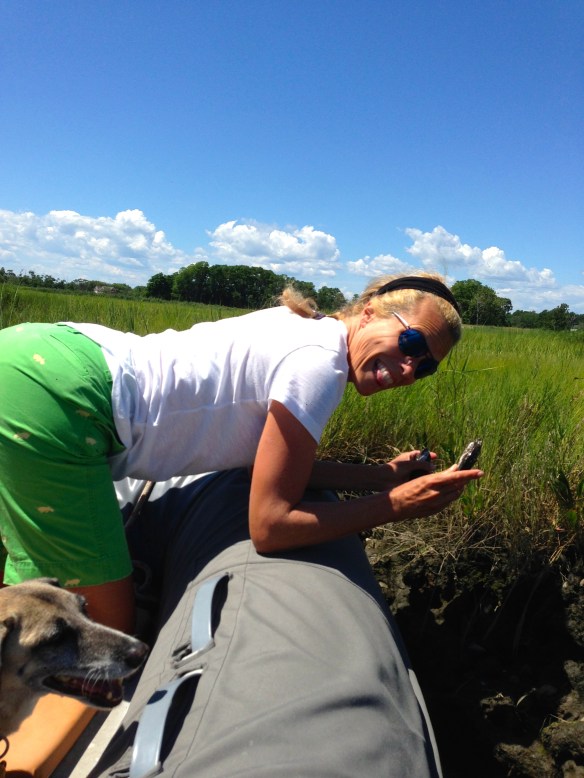 Mary musseling mussels