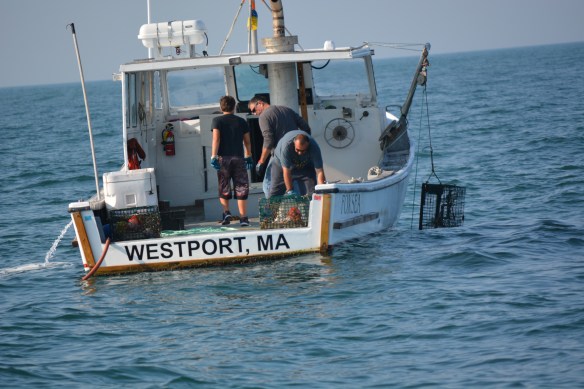 Hardworking Lobstermen 