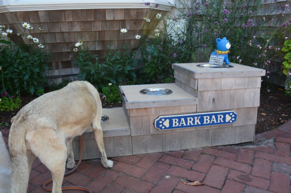 Bark Bar
