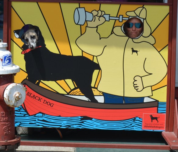 Martha's Vineyard fun