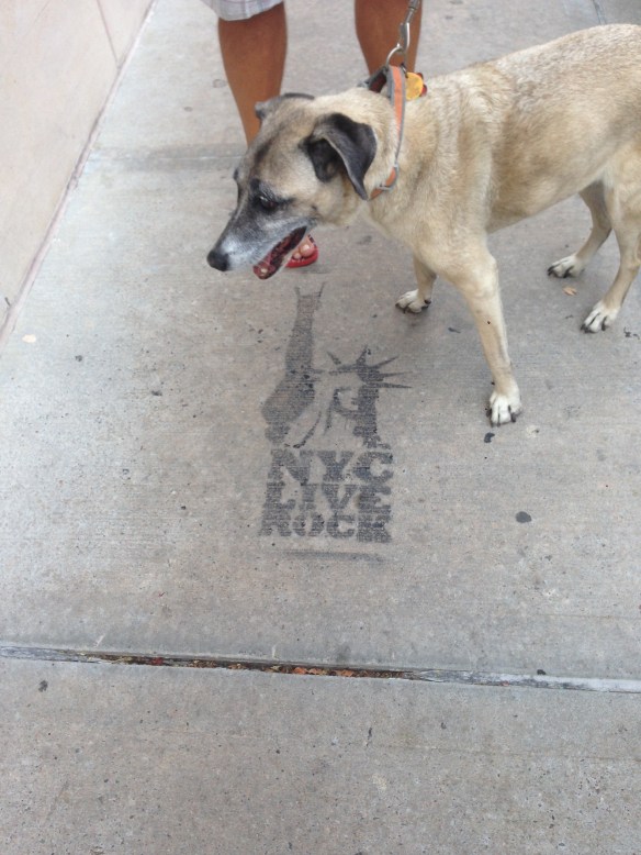 Lucy back on the streets of NYC