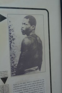 The prisioner and survivor Cyparis, saved by the thickness of his cell’s walls. 