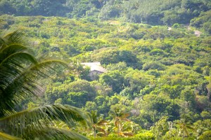 Sir George Martin's famous AIR recording studio. Once recording Paul McCartney, Rush, The Police, Duran Duran, Black Sabbath and many more is now almost completely covered by trees